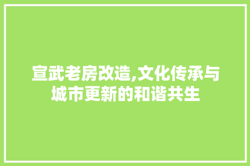 宣武老房改造,文化传承与城市更新的和谐共生