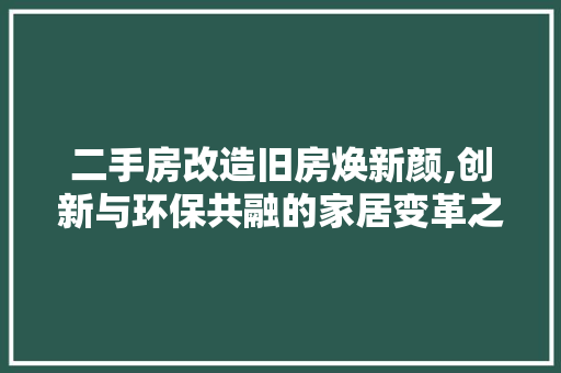 二手房改造旧房焕新颜,创新与环保共融的家居变革之路