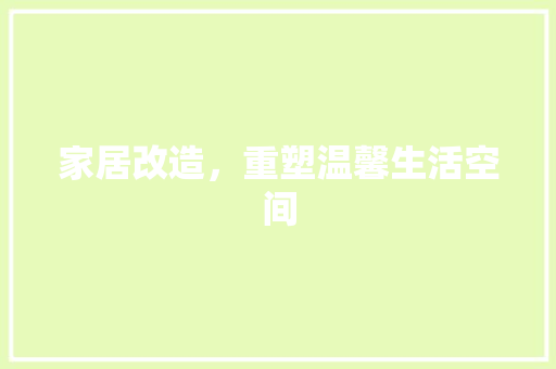 家居改造，重塑温馨生活空间