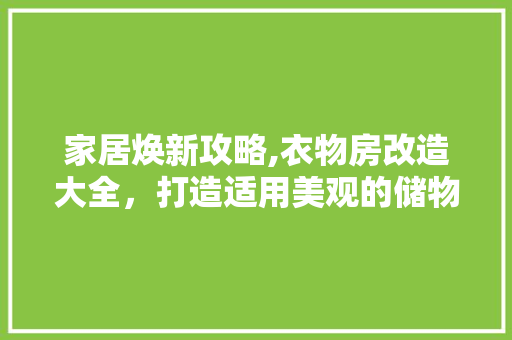 家居焕新攻略,衣物房改造大全，打造适用美观的储物空间