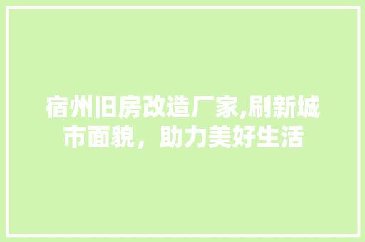 宿州旧房改造厂家,刷新城市面貌，助力美好生活 建筑设计
