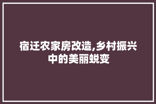 宿迁农家房改造,乡村振兴中的美丽蜕变 装修攻略