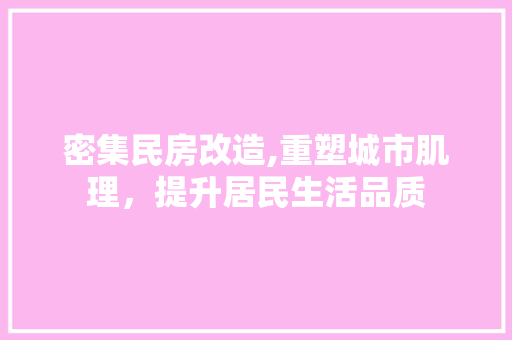 密集民房改造,重塑城市肌理，提升居民生活品质 墙面装饰