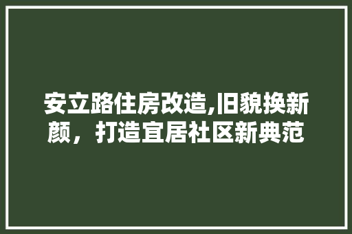 安立路住房改造,旧貌换新颜，打造宜居社区新典范