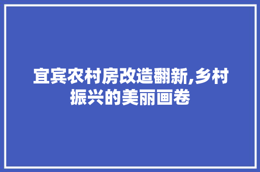 宜宾农村房改造翻新,乡村振兴的美丽画卷