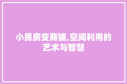 小民房变商铺,空间利用的艺术与智慧