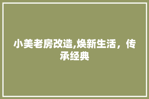 小美老房改造,焕新生活，传承经典