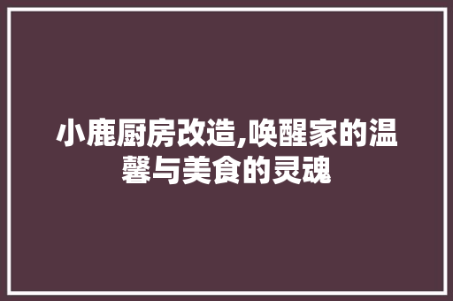 小鹿厨房改造,唤醒家的温馨与美食的灵魂