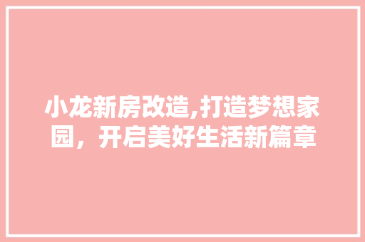 小龙新房改造,打造梦想家园，开启美好生活新篇章