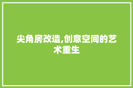 尖角房改造,创意空间的艺术重生