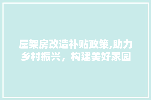 屋架房改造补贴政策,助力乡村振兴，构建美好家园