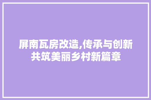 屏南瓦房改造,传承与创新共筑美丽乡村新篇章