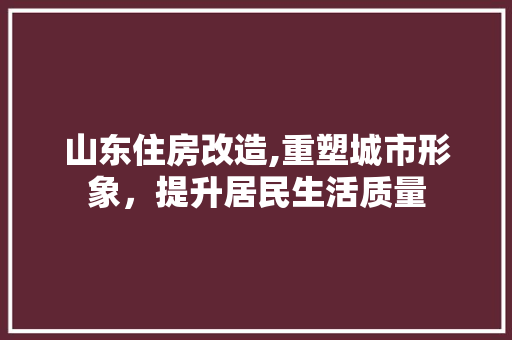 山东住房改造,重塑城市形象，提升居民生活质量