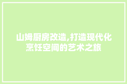 山姆厨房改造,打造现代化烹饪空间的艺术之旅