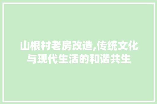 山根村老房改造,传统文化与现代生活的和谐共生