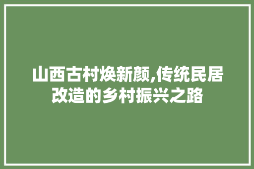 山西古村焕新颜,传统民居改造的乡村振兴之路