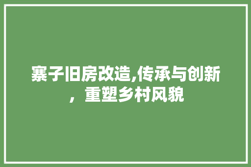 寨子旧房改造,传承与创新，重塑乡村风貌