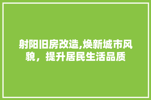 射阳旧房改造,焕新城市风貌，提升居民生活品质 庭院装修