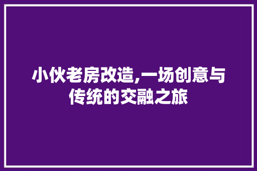 小伙老房改造,一场创意与传统的交融之旅
