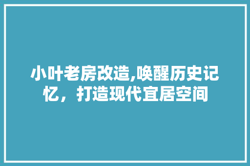 小叶老房改造,唤醒历史记忆，打造现代宜居空间 门窗装修