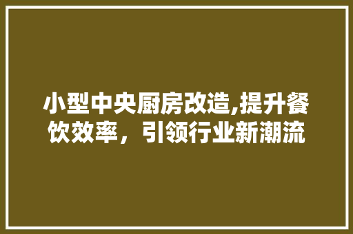 小型中央厨房改造,提升餐饮效率，引领行业新潮流