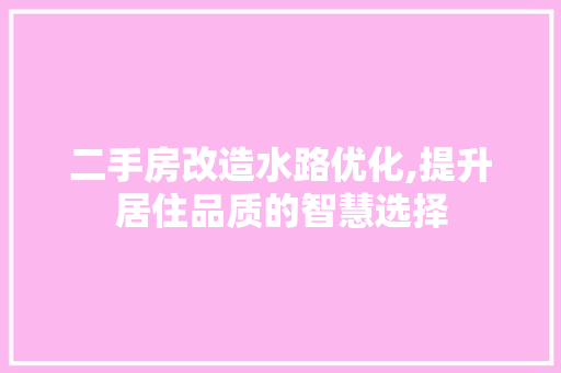 二手房改造水路优化,提升居住品质的智慧选择 墙面装饰