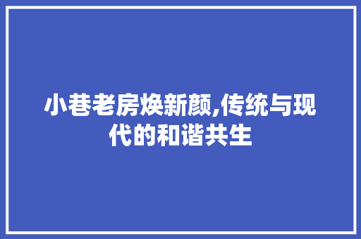 小巷老房焕新颜,传统与现代的和谐共生