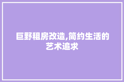 巨野租房改造,简约生活的艺术追求 装修材料