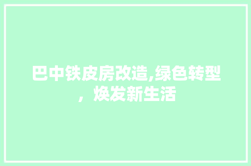 巴中铁皮房改造,绿色转型，焕发新生活