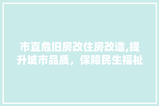 市直危旧房改住房改造,提升城市品质，保障民生福祉