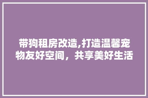 带狗租房改造,打造温馨宠物友好空间，共享美好生活