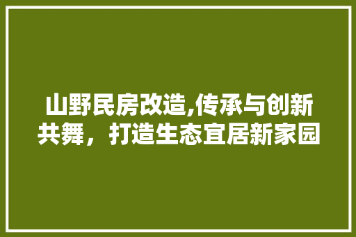 山野民房改造,传承与创新共舞，打造生态宜居新家园 墙面装饰