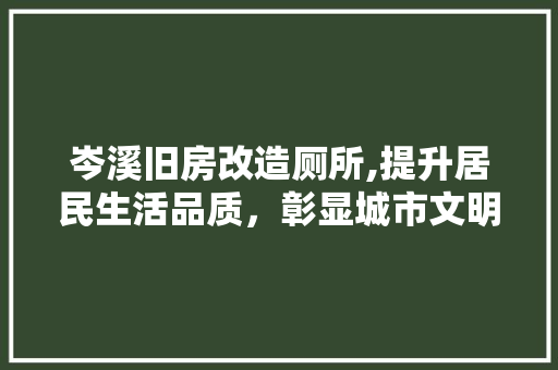 岑溪旧房改造厕所,提升居民生活品质，彰显城市文明进步 装修攻略
