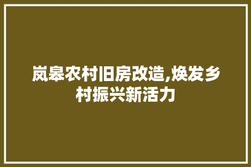 岚皋农村旧房改造,焕发乡村振兴新活力