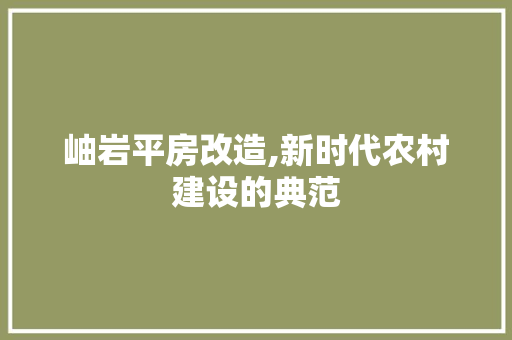 岫岩平房改造,新时代农村建设的典范 建筑设计