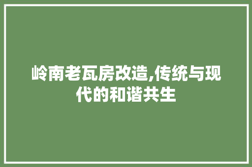 岭南老瓦房改造,传统与现代的和谐共生