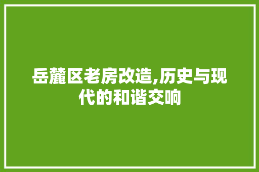 岳麓区老房改造,历史与现代的和谐交响 景观设计