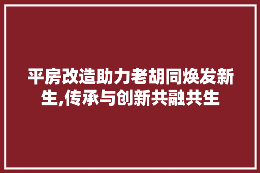 平房改造助力老胡同焕发新生,传承与创新共融共生