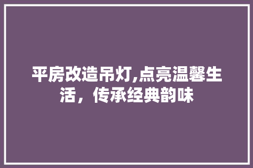 平房改造吊灯,点亮温馨生活，传承经典韵味