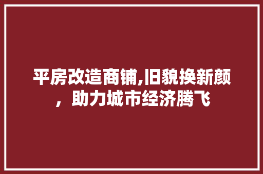 平房改造商铺,旧貌换新颜，助力城市经济腾飞