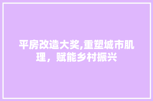 平房改造大奖,重塑城市肌理，赋能乡村振兴