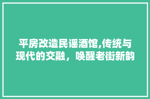 平房改造民谣酒馆,传统与现代的交融，唤醒老街新韵
