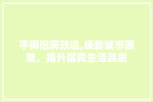 平舆旧房改造,焕新城市面貌，提升居民生活品质