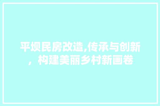 平坝民房改造,传承与创新，构建美丽乡村新画卷 装修攻略
