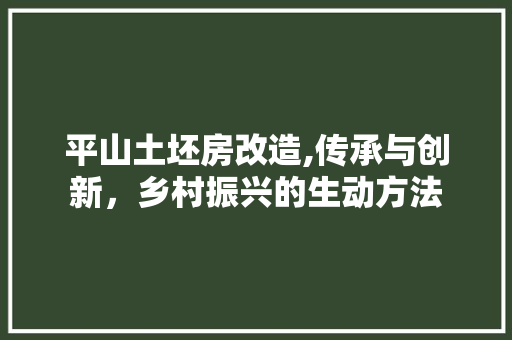 平山土坯房改造,传承与创新，乡村振兴的生动方法