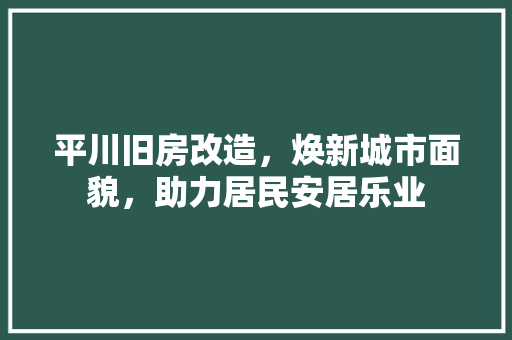 平川旧房改造，焕新城市面貌，助力居民安居乐业 地面装修
