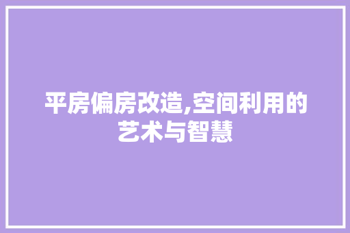 平房偏房改造,空间利用的艺术与智慧