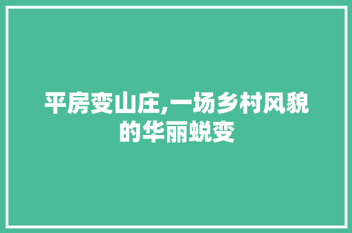 平房变山庄,一场乡村风貌的华丽蜕变
