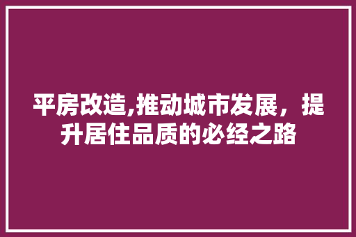 平房改造,推动城市发展，提升居住品质的必经之路 墙面装饰