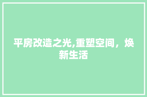 平房改造之光,重塑空间，焕新生活